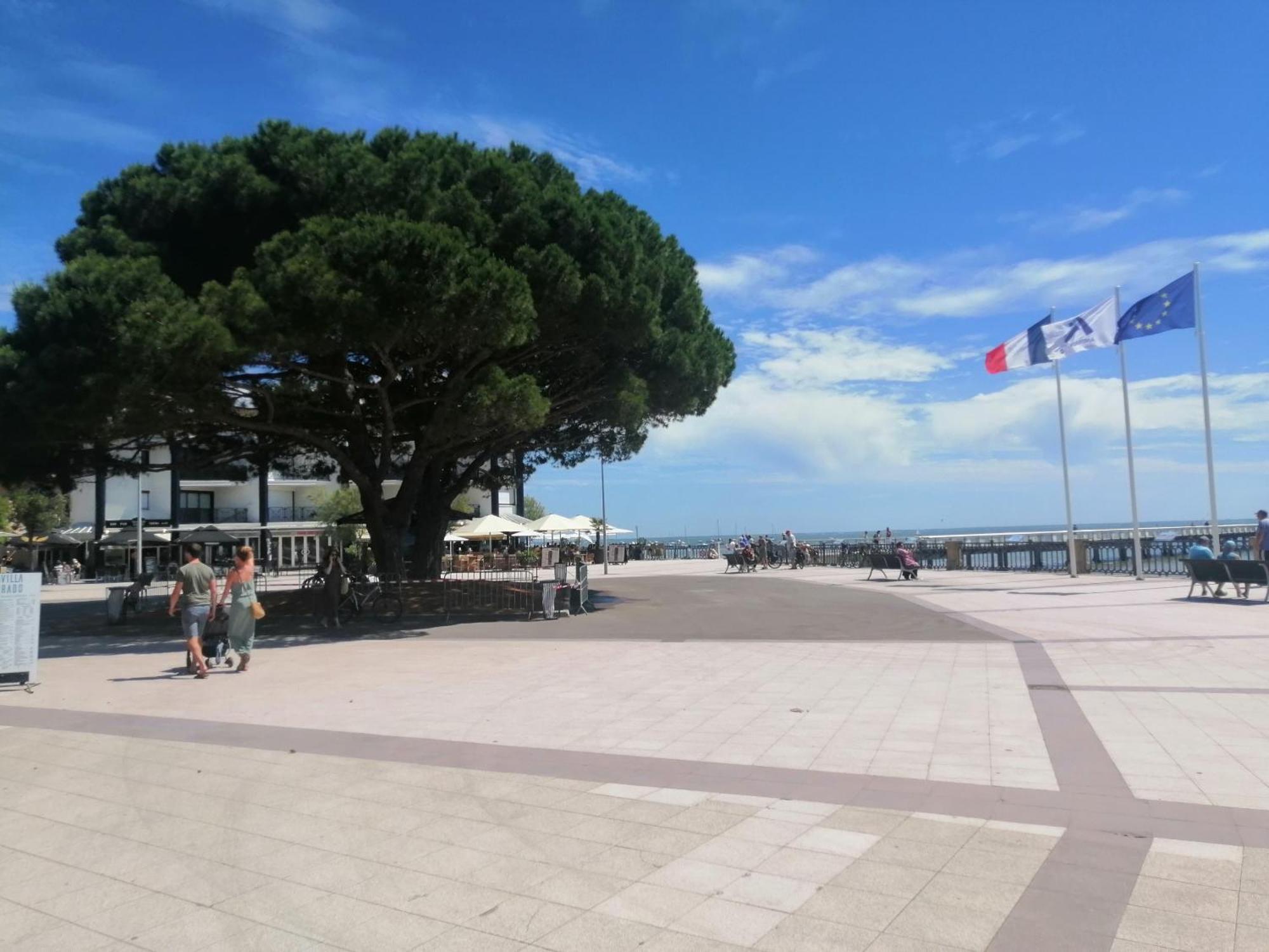 Maison Sarah Bernhardt Tout Confort Andernos-les-Bains Esterno foto